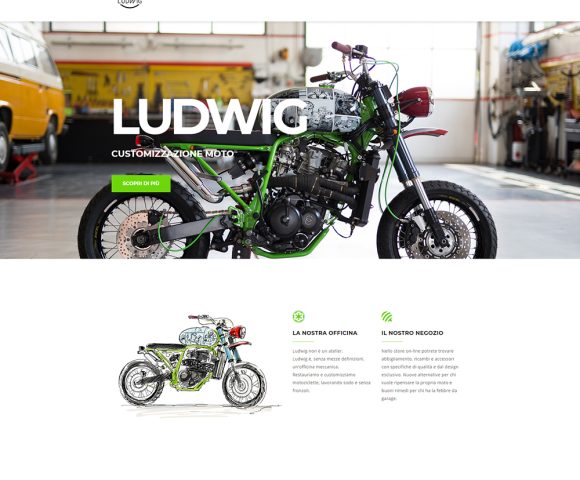 ecommerce-ludwig-1